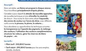 Sandra Vigouroux  - Atelier encres et aquarelle 
