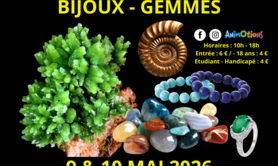 Salon Minéraux Fossiles Cristaux/Bien-Être Bijoux & Gemmes