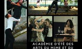 Académie d'été des Arts du Mime et du Geste 
