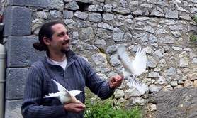 Compagnie Anim' à Lier - Spectacle d'oiseaux