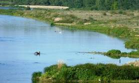 Maison de Loire du Loiret
