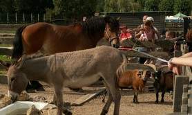 FERME PEDAGOGIQUE DE LA BECHERE
