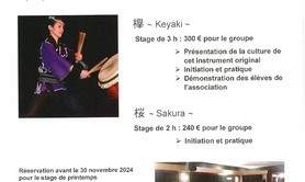 Wadaiko MAKOTO - Tambour Japonais TAIKO