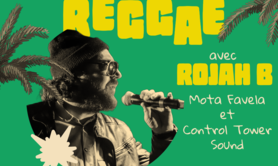 Concert reggae au Meeple