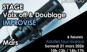 VOIX OFF ET DOUBLAGE IMPROVISE