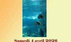 Stage de pastels secs animé par Corinne Caillé pastelliste