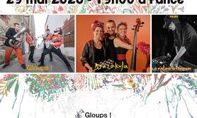Dans la Clairière - Concert à Pancé (35)