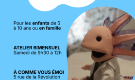 Cie L'Aspirale - Amalia Domergue - Ateliers Marionnettes et formes animées