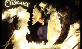 Les Dames Oiseaux - Déambulation Lumineuse & Féerique, Conte