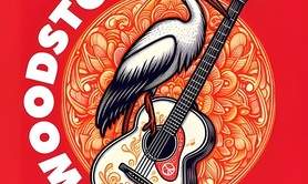 Woodstork Rock Revival - Back to the seventies