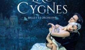 Le Lac des Cygnes - Ballet & Orchestre - Paris & Tournée 2026