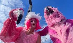 Cie Ô Perché - L'Envolée Rose - Déambulation Echasses