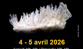36ème Bourse vente minéraux fossiles et pierres naturelles