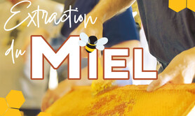 Extraction du miel des Jardins de Brocéliande
