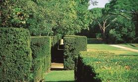 PARC DU CHATEAU DE MERVILLE