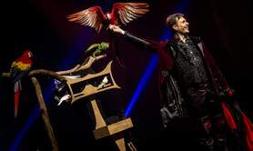 Lionel Lemetayer - Magicien