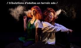 Paradoxes ou les tribulations d'adultes en terrain ado