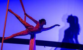 Compagnie Céleste - Prestations aériennes, danse, feu, LED, échasses