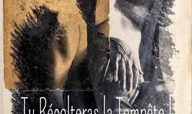 MoKo  « Tu récolteras la tempête ! »  