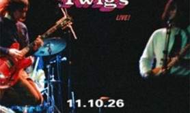 The Lemon Twigs