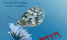 Que ma joie demeure !