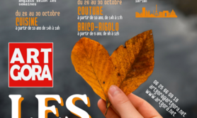 Stages d'automne