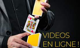 Chris TORRENTE - Magicien professionnel 