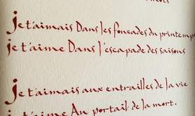 anne sacramento - cours de calligraphie occidentale