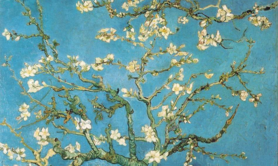 Atelier du Regard - Histoire de l'art : apprenez le langage de l'art