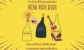 Veni, vidi, bibi - Spectacle un poil loufoque arrosé de quelques  chansons