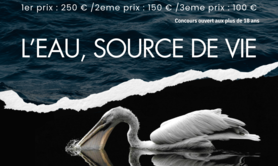 Concours photo