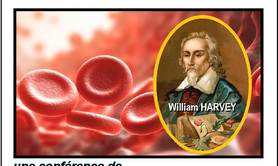 Le sang: une humeur de l'histoire