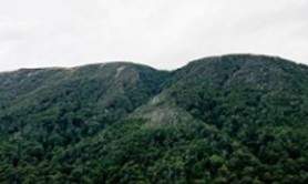 Maldoror - Festival d'Avignon