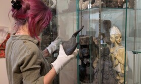 Visite guidées de l'exposition temporaire et de nos réserves