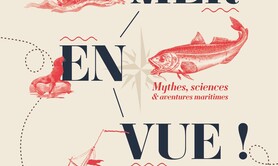 Mer en vue !