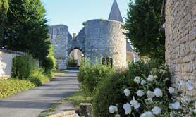 Forteresse médiévale et village de Yèvre le Châtel