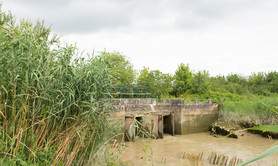 Marais d'Arcins Soussans