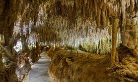 Grotte de Domme (Grotte de la Halle)