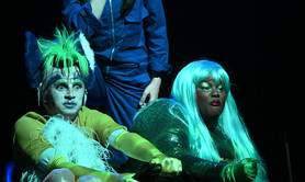 Peau d'âne, la fête est finie - Marie Dilasser, Hélène Soulié