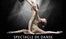 Puzzle - Le Jeune Ballet Européen - Théâtre du Gymnase, Paris