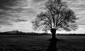 D’ombre et de lumière – Chants des rituels paysans d’Italie
