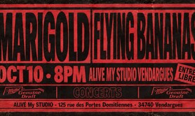 Marigold (Rock, Electro) + Flying Bananas (Rock)...