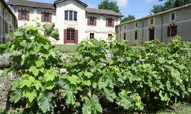 Musée du Vin et de la Vigne Chai de Lardimalie