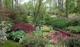 Jardin Arboretum d'Ilex