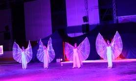 Patinair - Spectacle de patinage