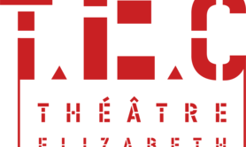 ARTISTE DANSEUR POLYVALENT (H)