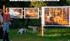 Festival Barrobjectif 2026