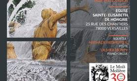 Concert Ensemble Instrumental Expression Nouvelle