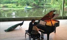 Charlotte Muniesa - Cours de piano