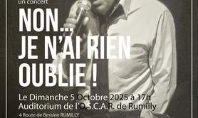 Tonin Poligner - Spectacle NON...Je n’ai rien oublié...